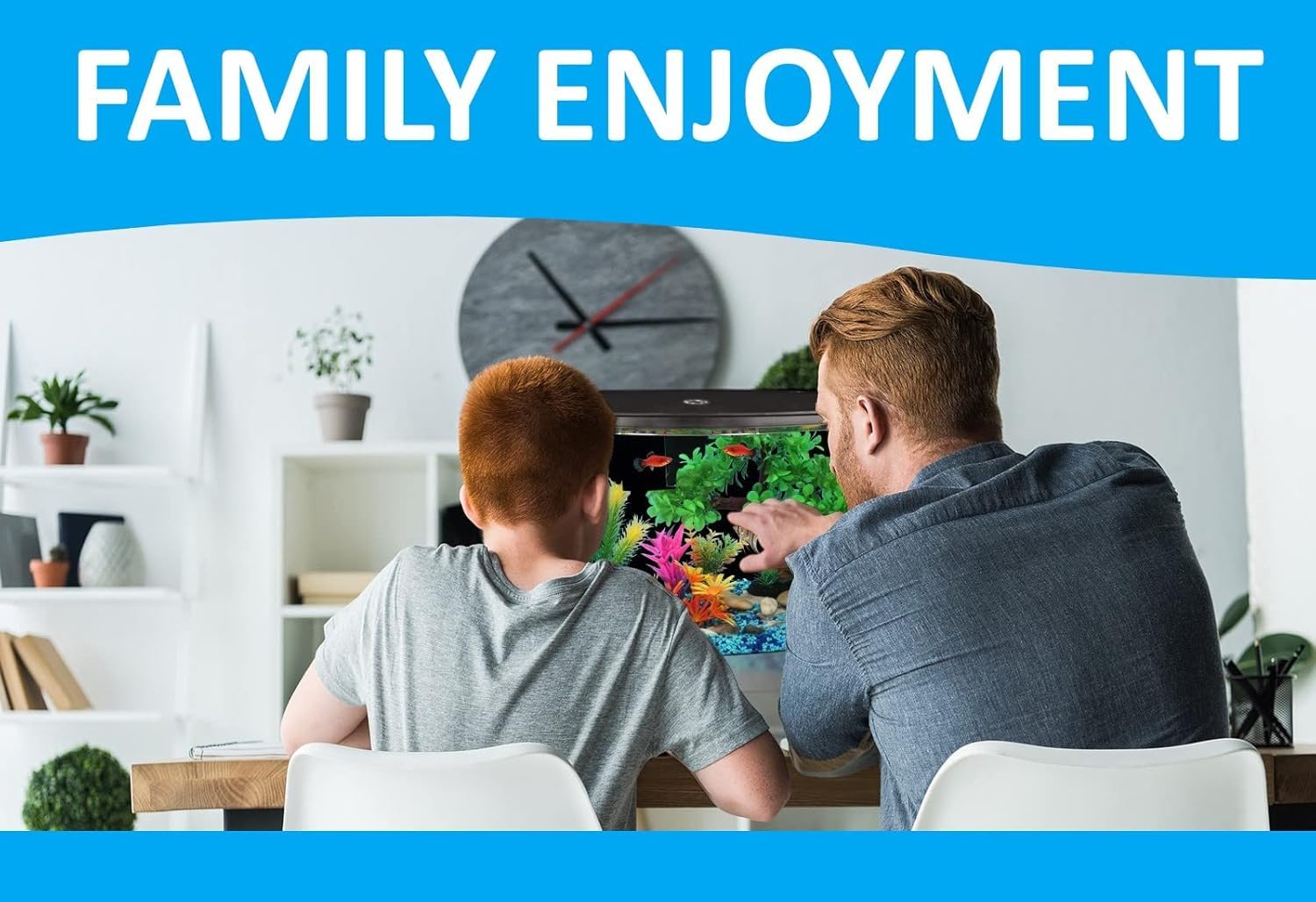 Koller Products 5-Gallon Aquarium Kit with LED Lighting and Power Filter, Ideal for a Variety of Tropical Fish