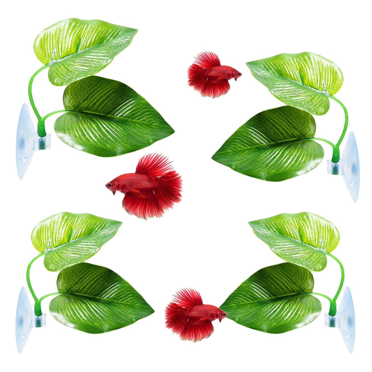 Betta Leaf Hammock