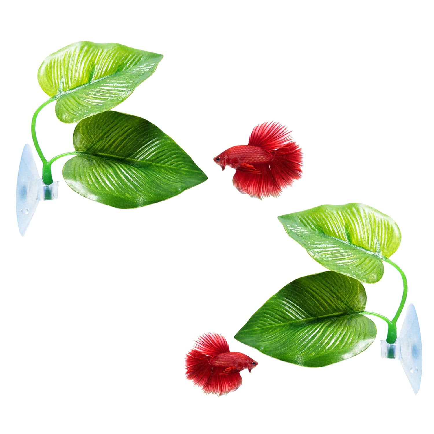 Betta Leaf Hammock