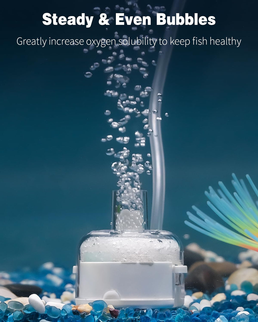 Pawfly Mini Aquarium Sponge Filter, Small Fish Tank Internal Filter with Foam and Air Stone Submersible Bio Sponge Filter for Fish Tanks up to 5 Gallon (Air Pump Not Included)