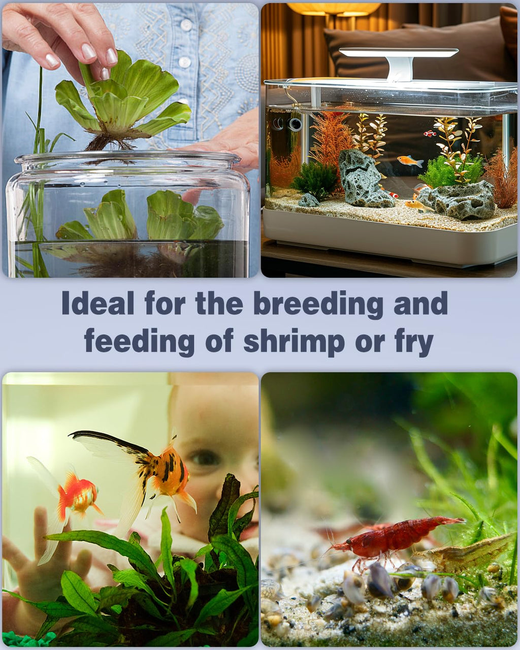 Pawfly Mini Aquarium Sponge Filter, Small Fish Tank Internal Filter with Foam and Air Stone Submersible Bio Sponge Filter for Fish Tanks up to 5 Gallon (Air Pump Not Included)