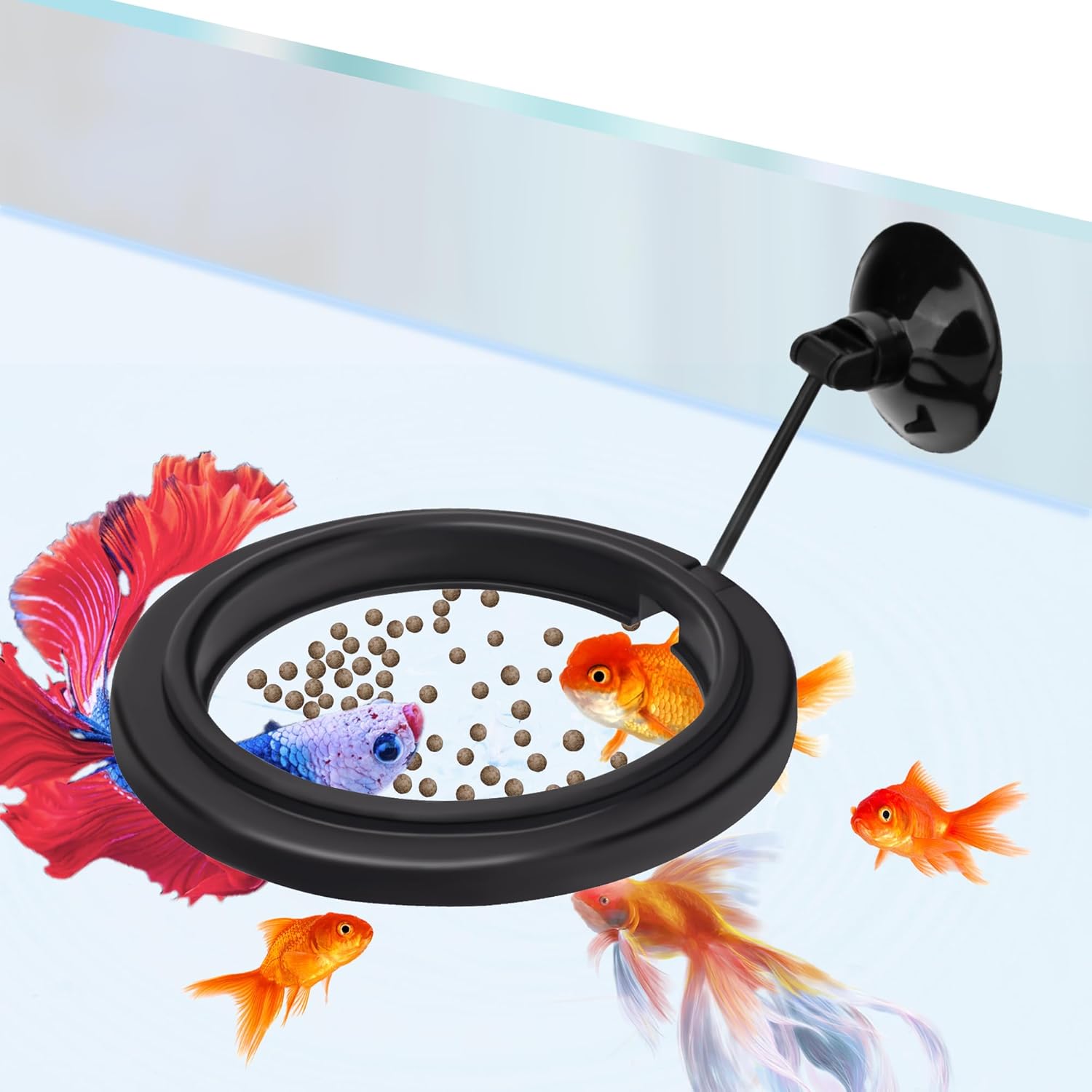 Small Fish Feeding Ring Round Mini Aquarium Feeder with Strong Suction Cup Floating Fish Feeder Ring for Betta Goldfish Guppy