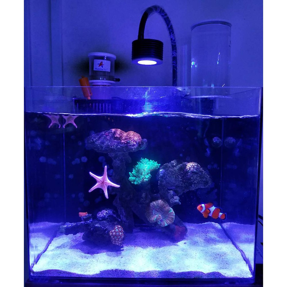 Lominie LED Aquarium Light Saltwater Aquarium Lamp 30W Full Spectrum with Remote Dimmable Nano Coral Reef Light for Fish Tank with Bracket