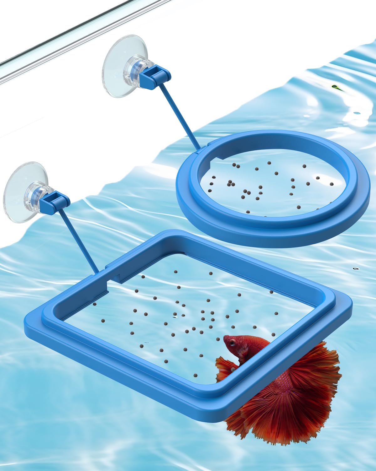 Feeding Ring + Dropper Tool
