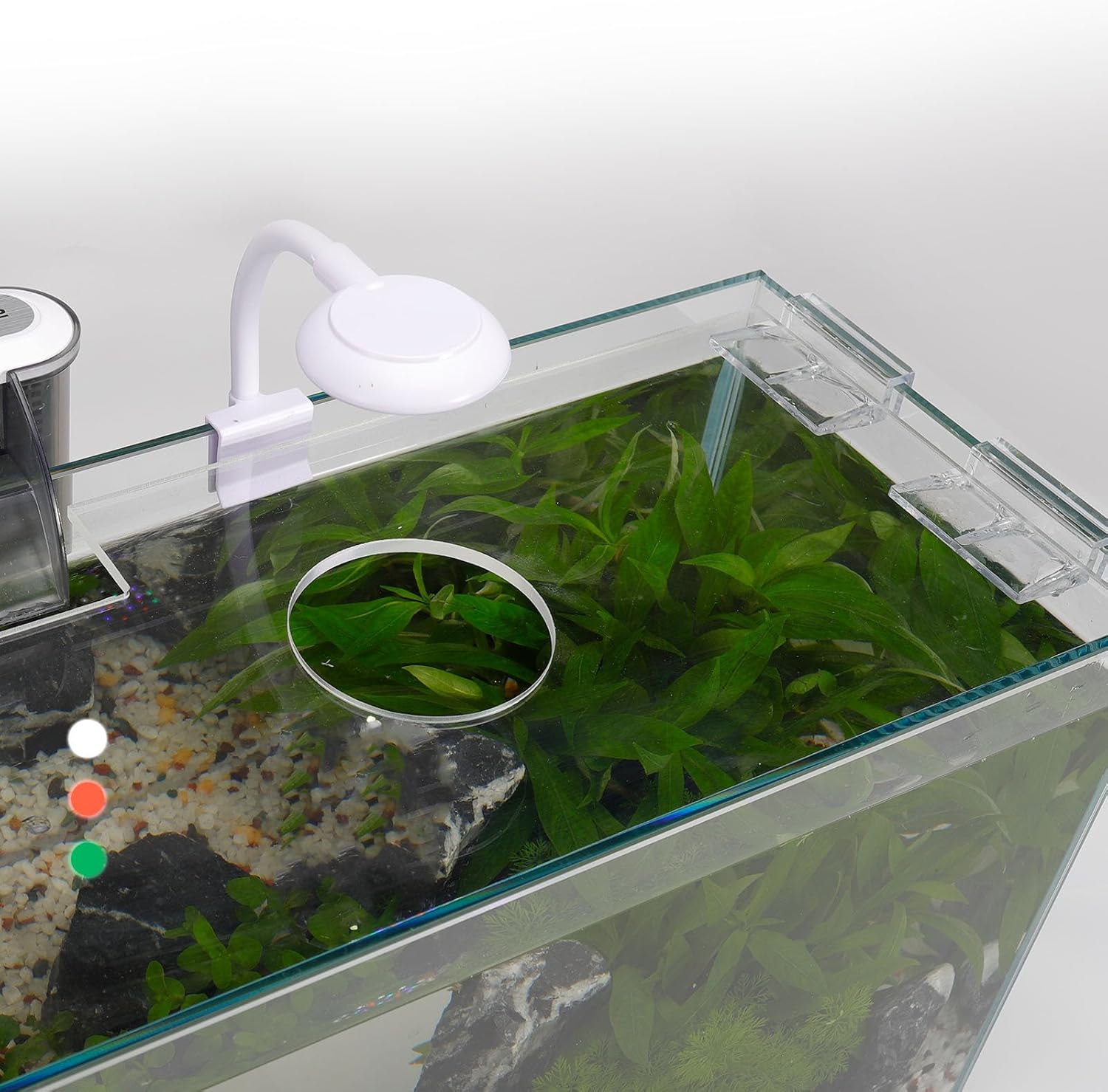 5 Gallon Glass Small Fish Tank with Filter Light and Lid, Betta Aquarium Starter Kits