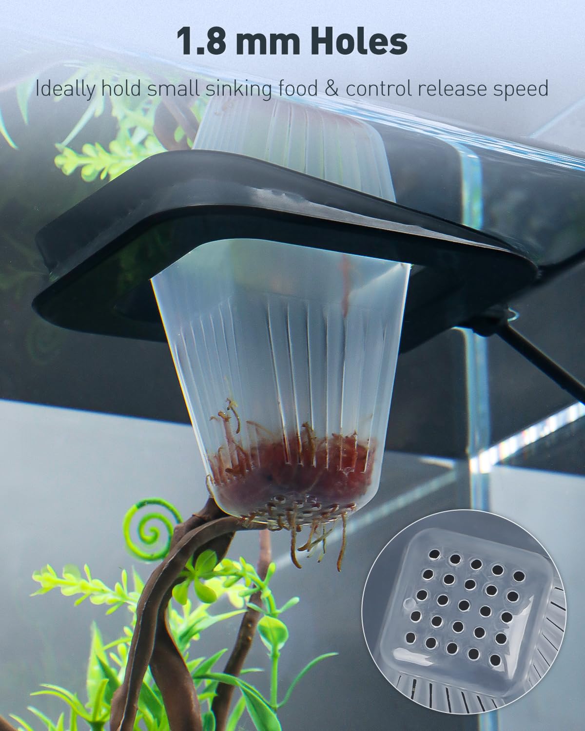 Feeding Ring + Dropper Tool