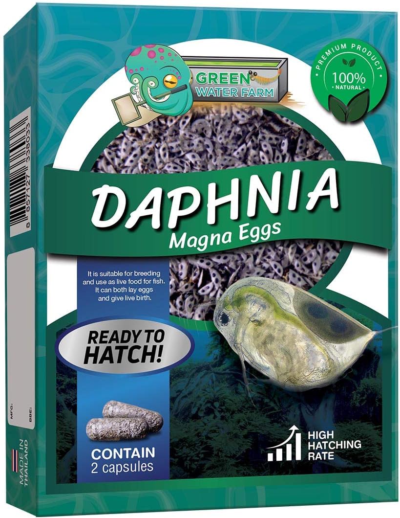 GreenWaterFarm Daphnia Magna Eggs Live Fish Food for Hatching and Culture Suitable for Feed Betta Fish