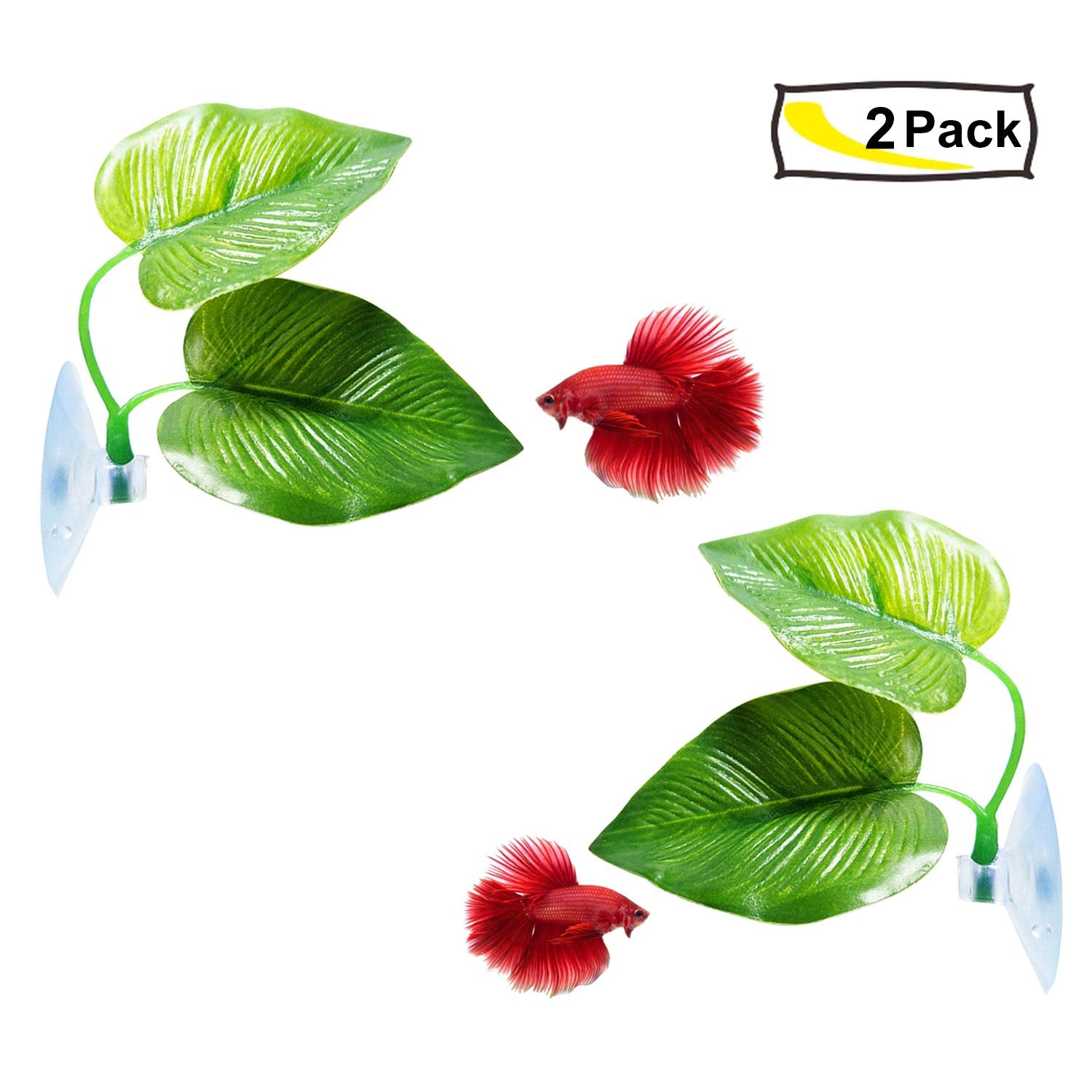 Betta Leaf Hammock