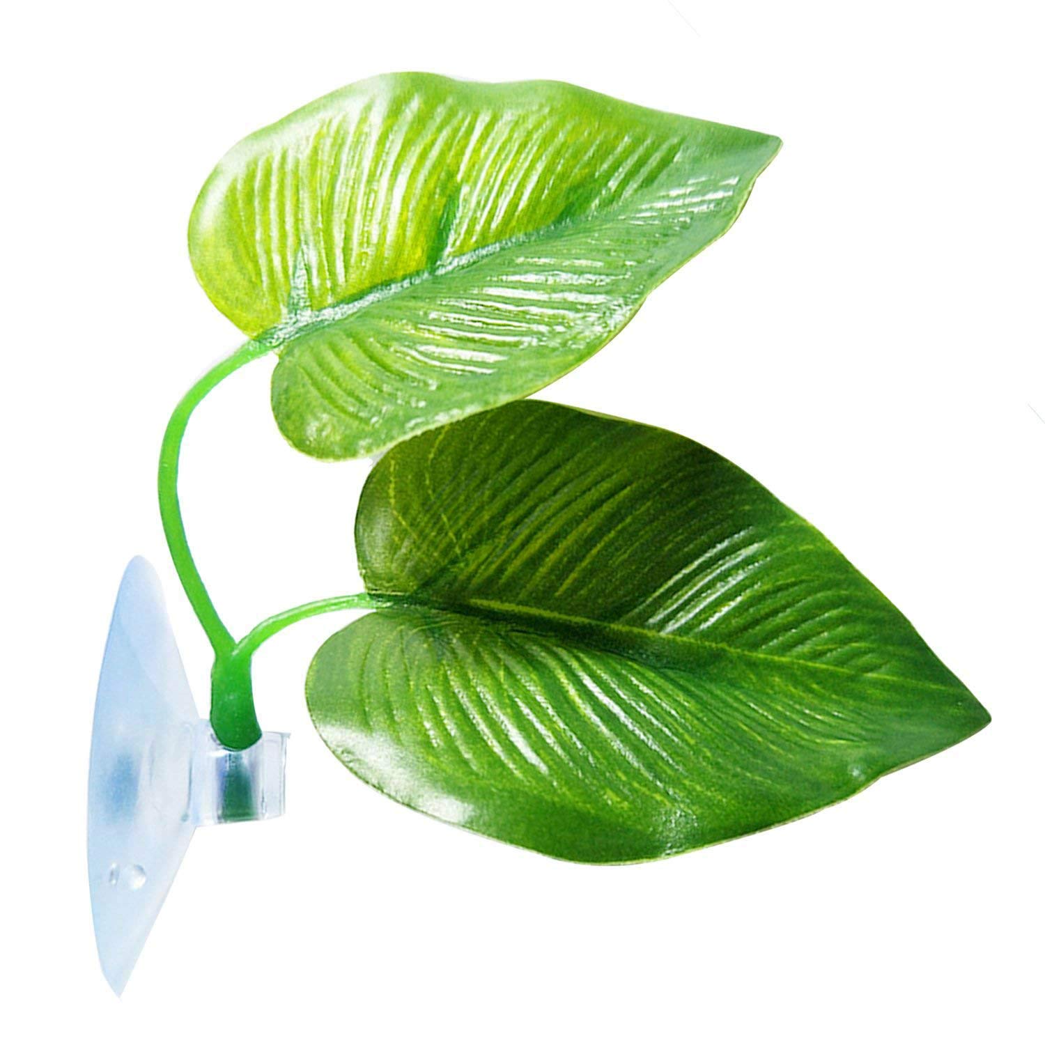 Betta Leaf Hammock