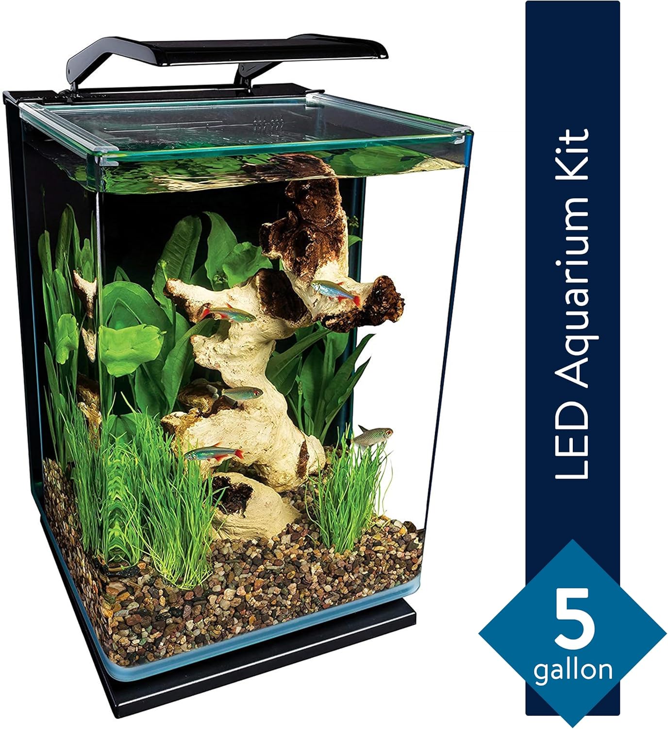 Marineland Portrait Glass Aquarium Kit (5 Gallon)