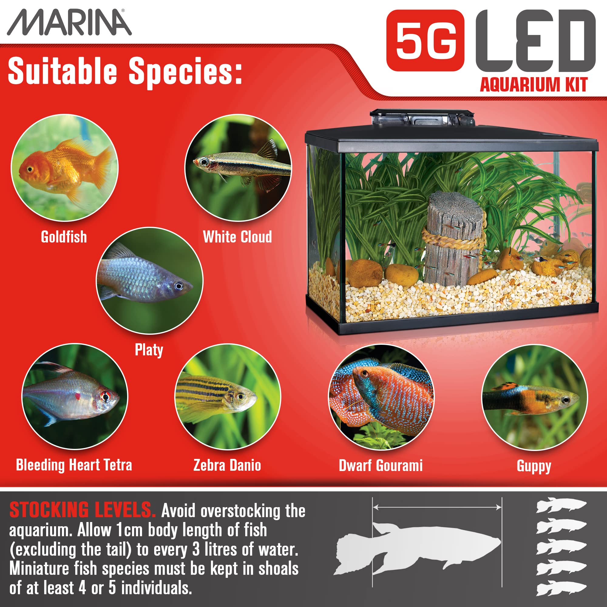 Marina LED Aquarium Kit (5 Gallon)