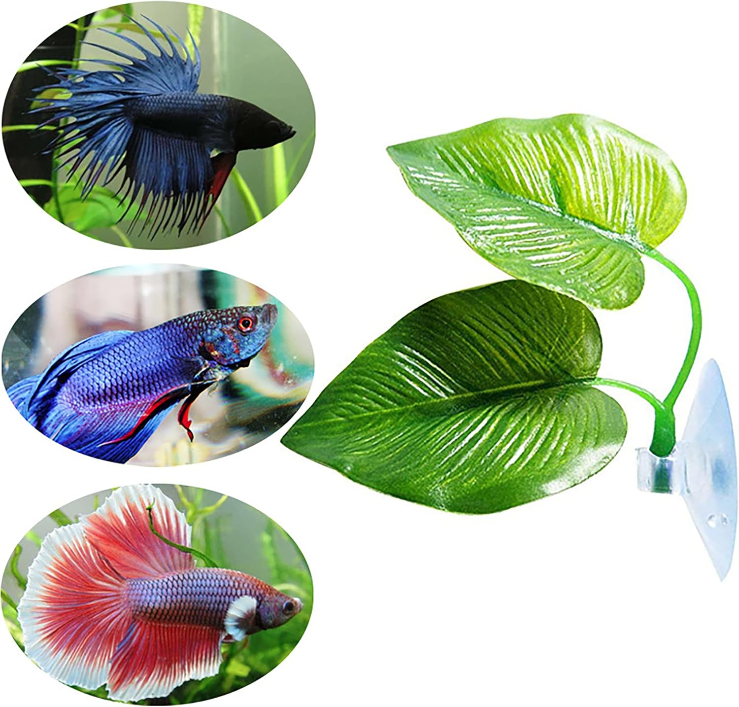 1Pcs Betta Fish Rest Leaf Pad - Aquarium Plants Artificial Hammock for Spawning - Simulation Leaves With Suction Cup - Fish Tank Decorations and Accessories