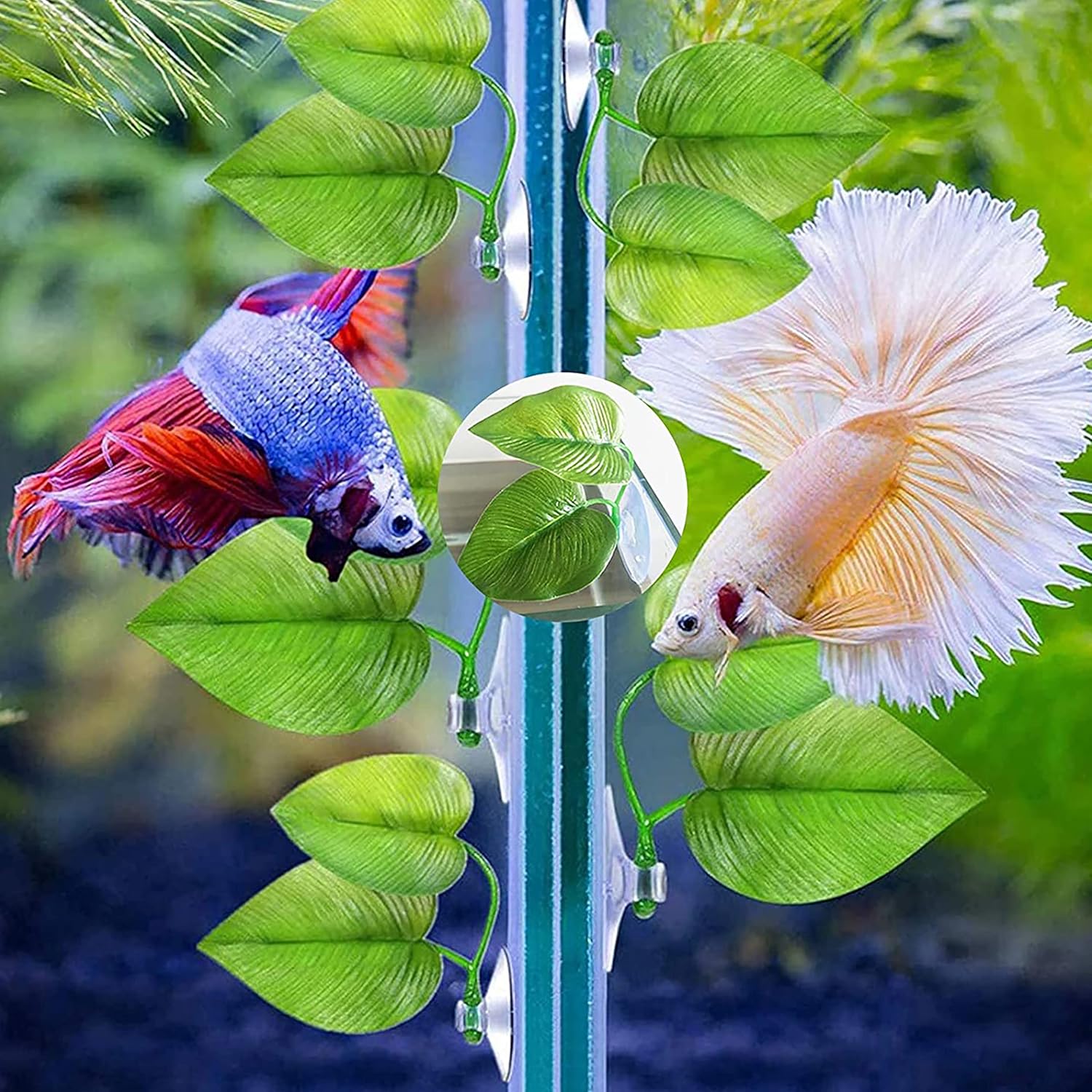 1Pcs Betta Fish Rest Leaf Pad - Aquarium Plants Artificial Hammock for Spawning - Simulation Leaves With Suction Cup - Fish Tank Decorations and Accessories