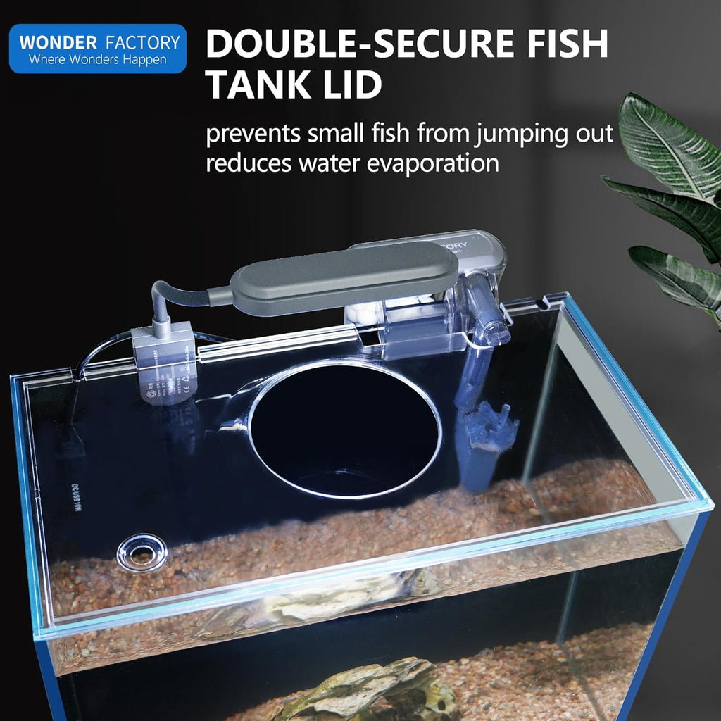 New Betta Owner Starter Bundle