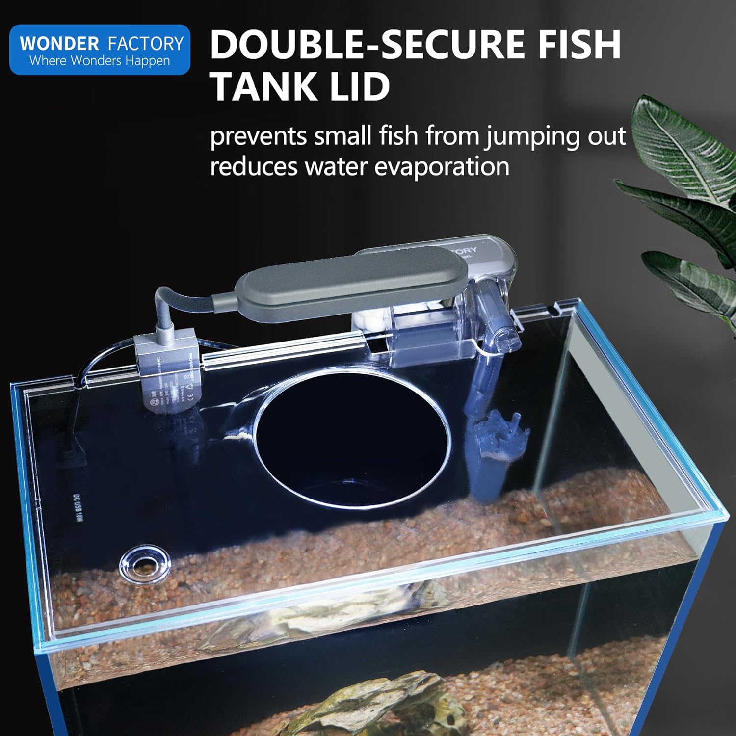 New Betta Owner Starter Bundle