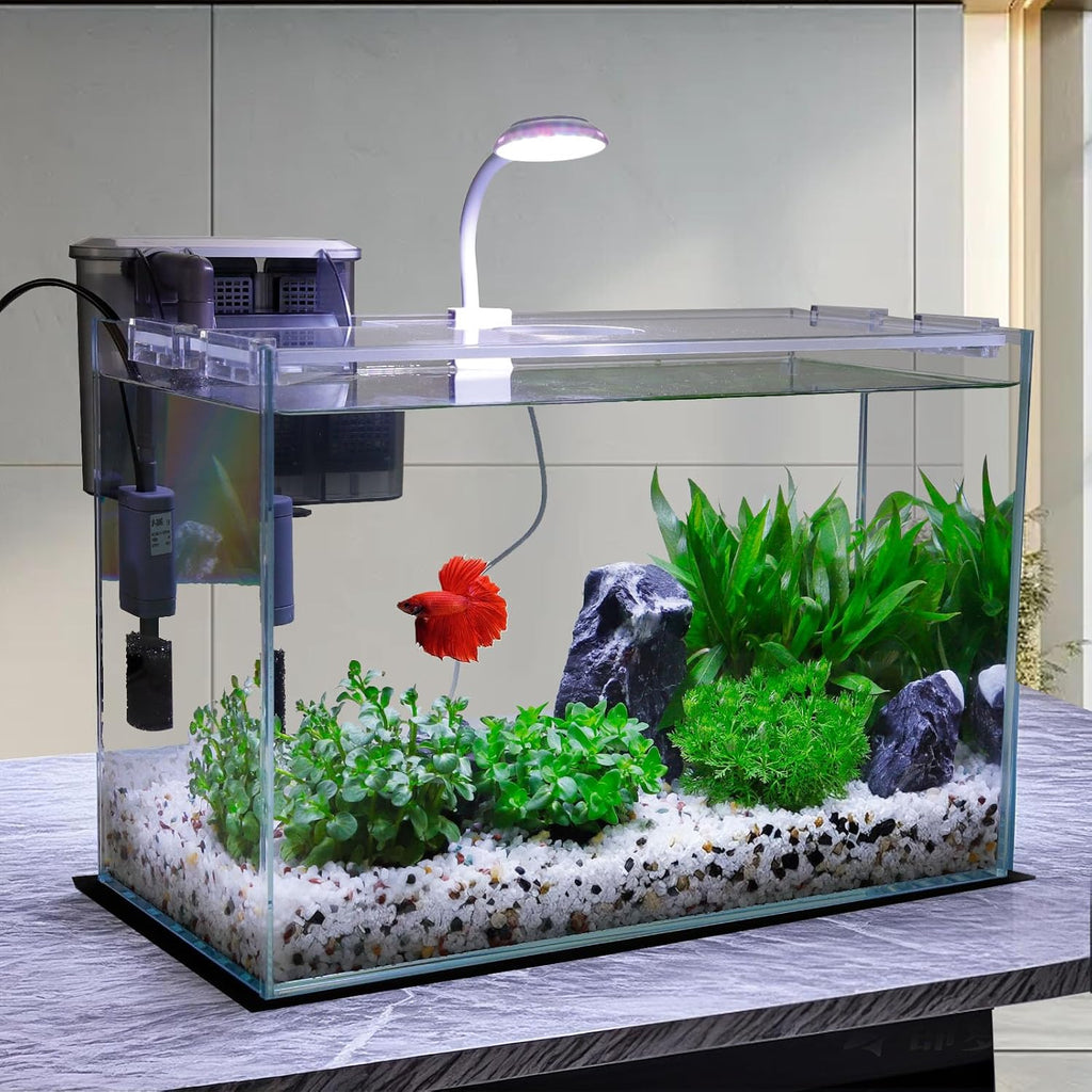 5 Gallon Glass Small Fish Tank with Filter Light and Lid, Betta Aquarium Starter Kits