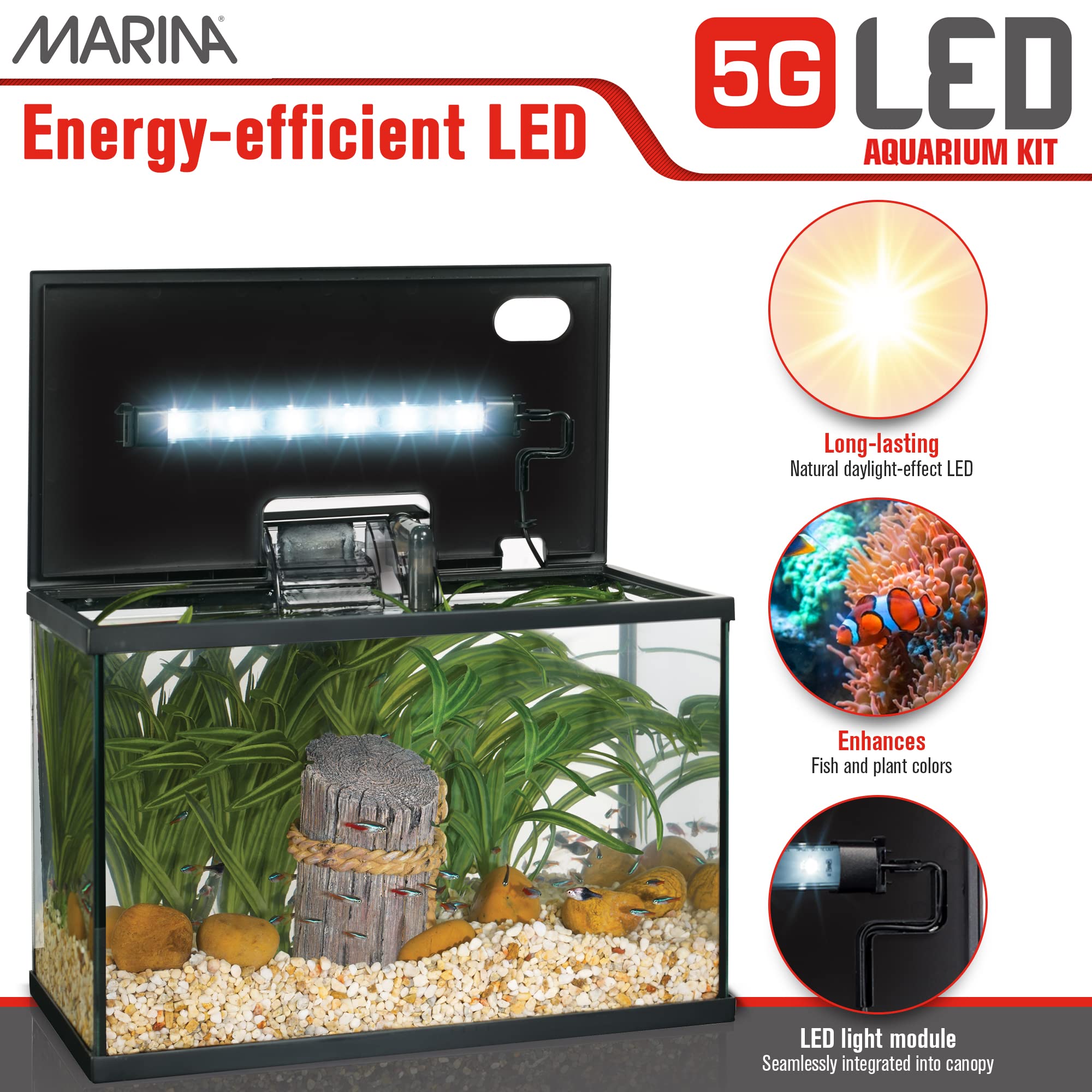 Marina LED Aquarium Kit (5 Gallon)