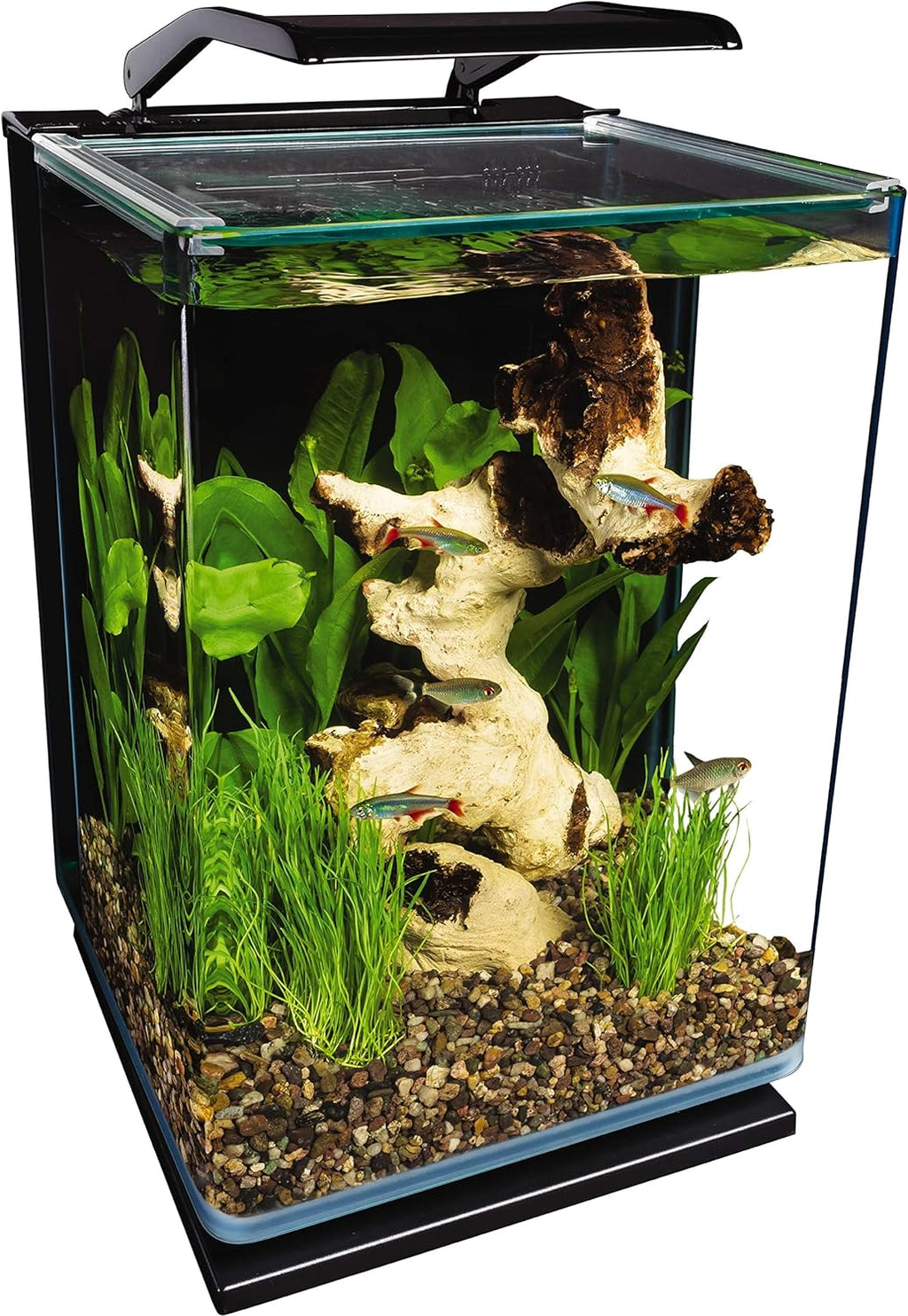 Marineland Portrait Glass Aquarium Kit (5 Gallon)