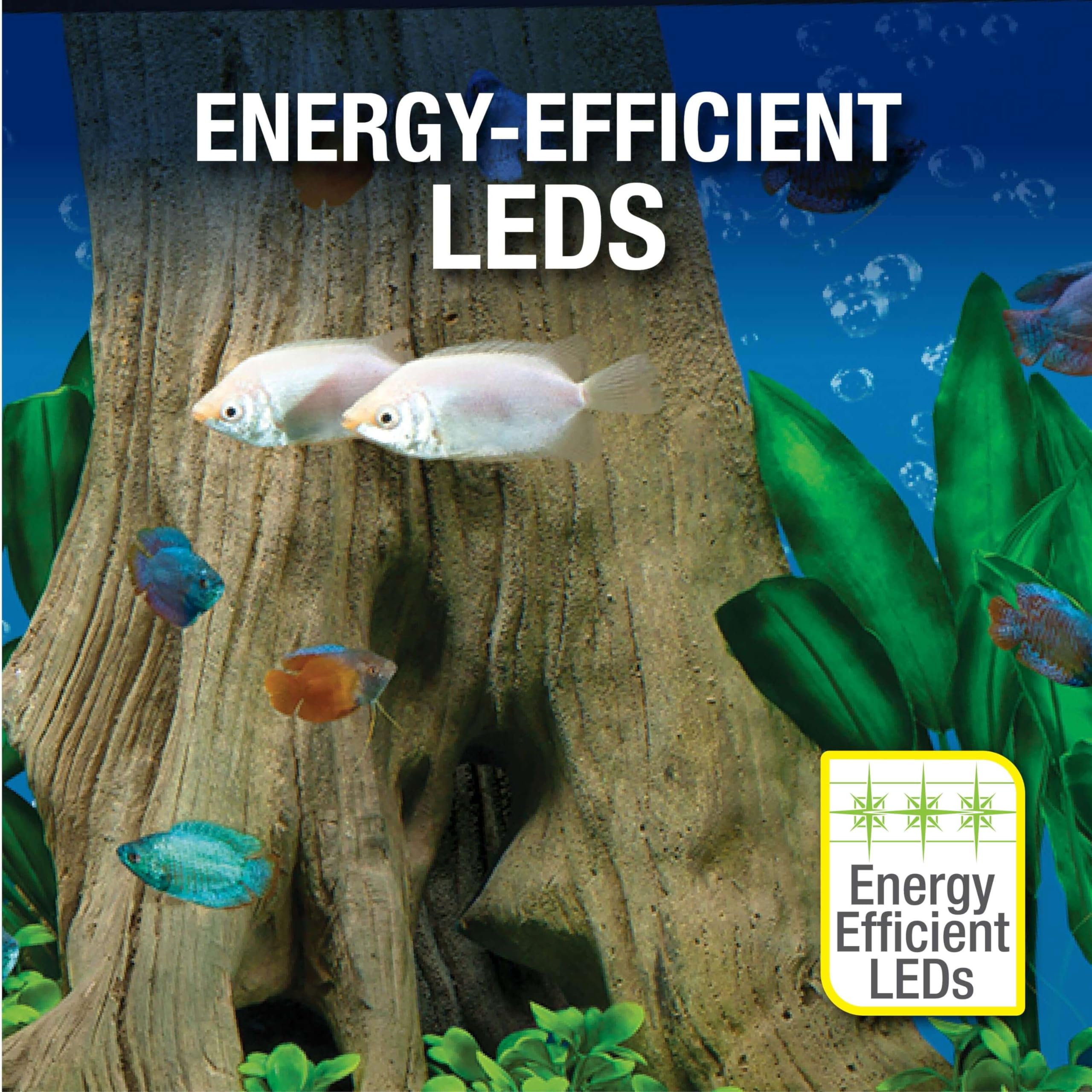 Tetra Complete Aquarium Kit (10 Gallon)