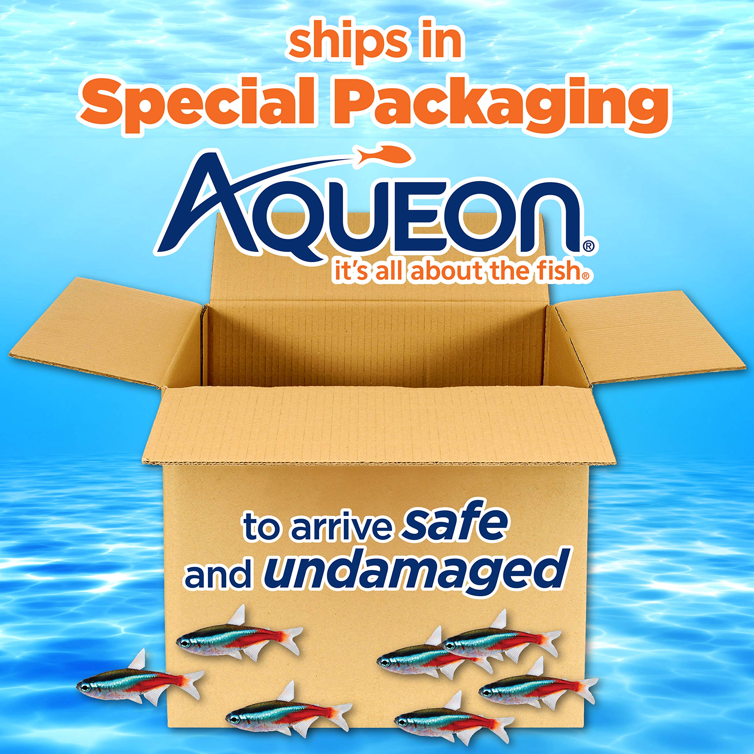 Aqueon Aquarium Fish Tank Starter Kit (10 Gallon