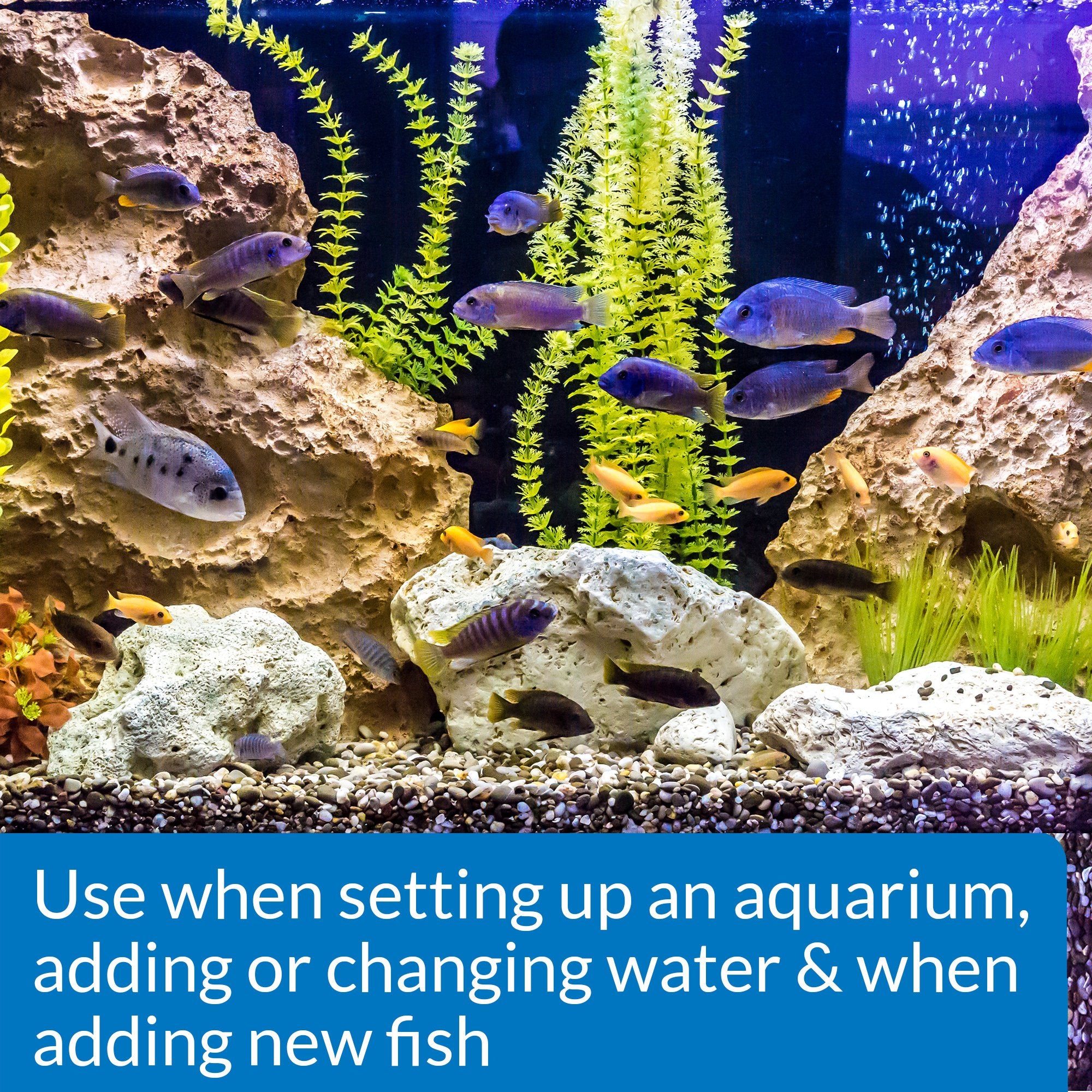 API Stress Coat Aquarium Water Conditioner
